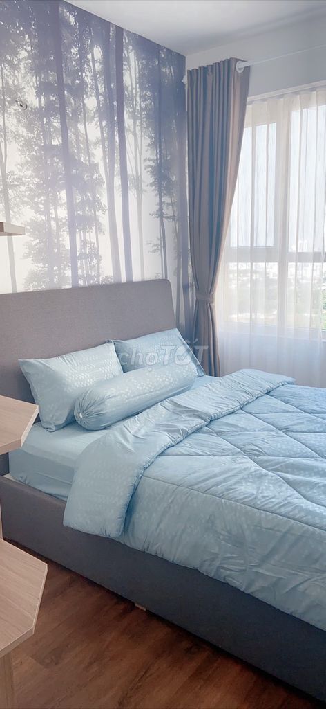 4236112 ảnh đại diện 2