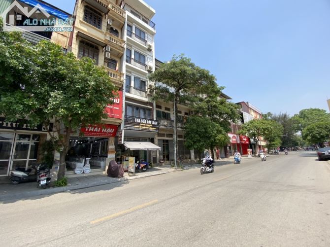 4236142 ảnh đại diện 1