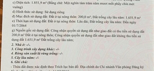 4236644 ảnh đại diện 1