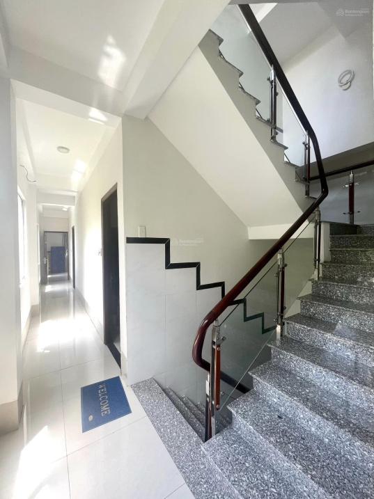 4239087 ảnh đại diện 1