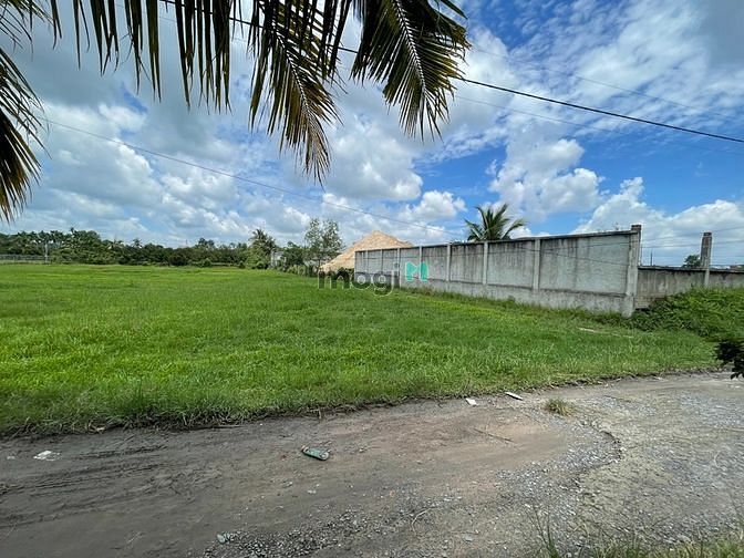 4236605 ảnh đại diện 1
