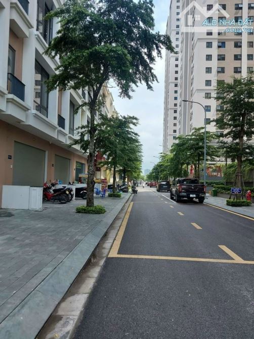 4235965 ảnh đại diện 1