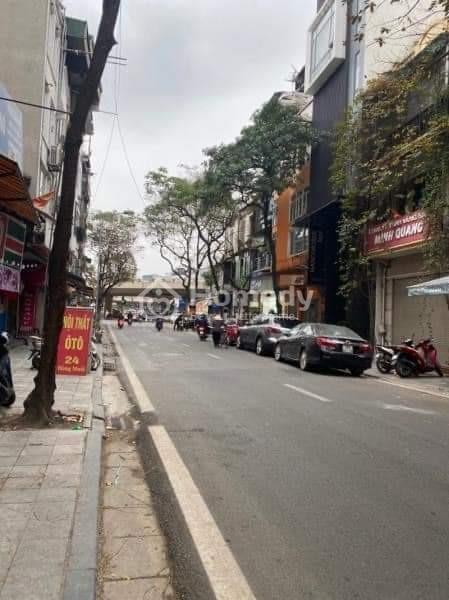 4237686 ảnh đại diện 1