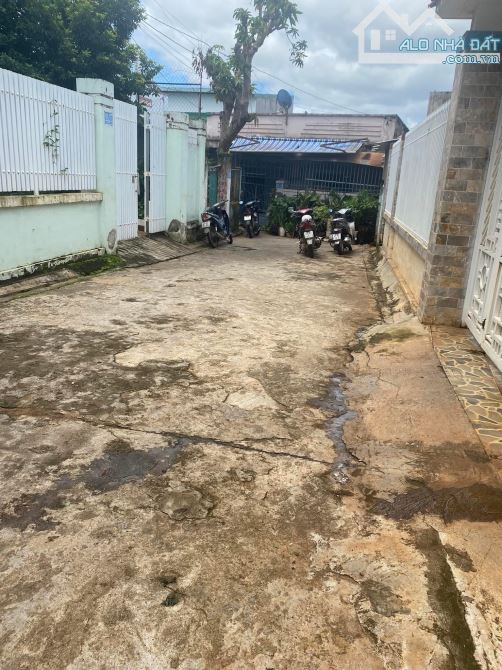 4240786 ảnh đại diện 2