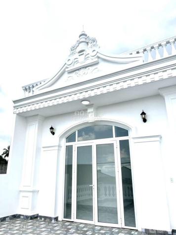 4241768 ảnh đại diện 1