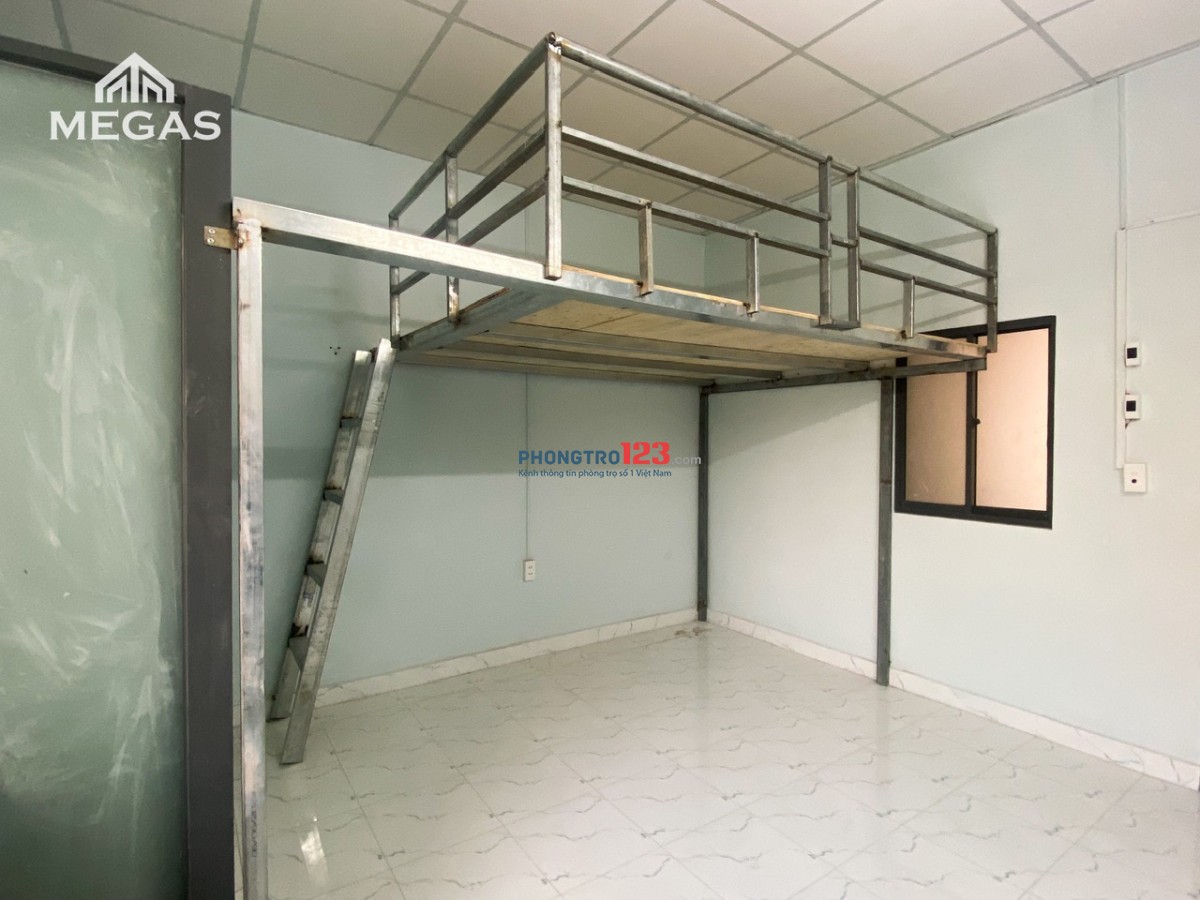 4239855 ảnh đại diện 2