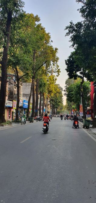 4240153 ảnh đại diện 2