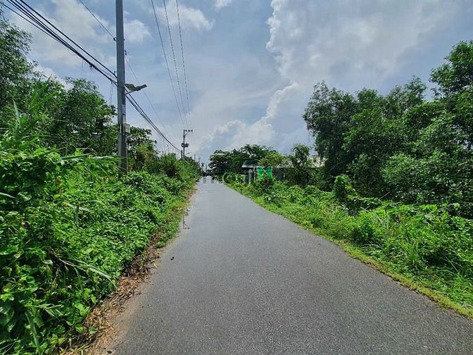 4239953 ảnh đại diện 1
