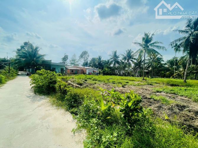 4240300 ảnh đại diện 1