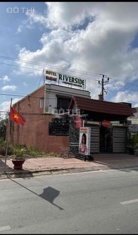 4240428 ảnh đại diện 2