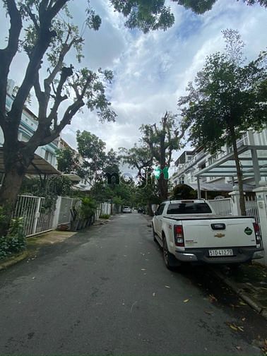 4240831 ảnh đại diện 1