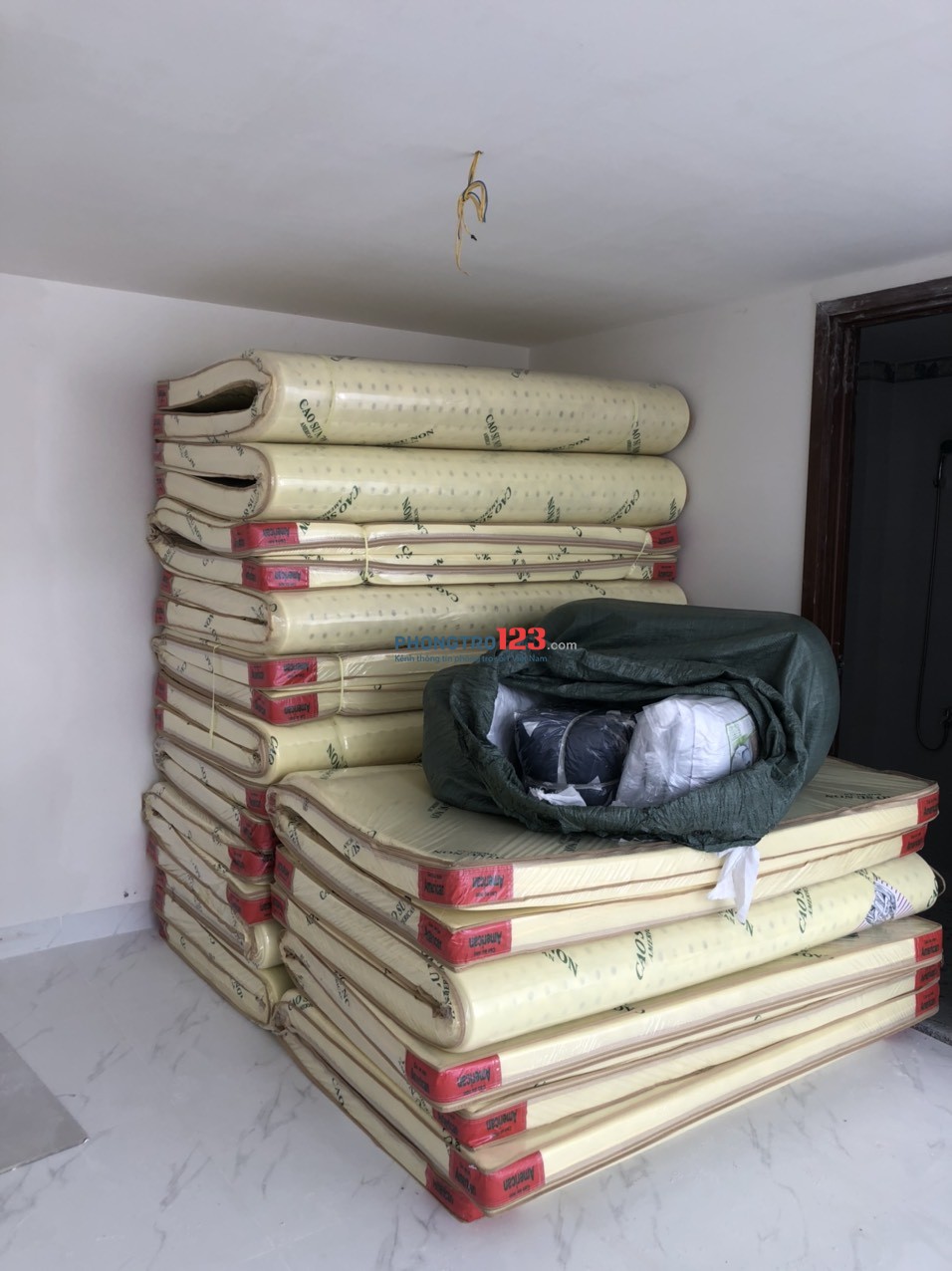 4239861 ảnh đại diện 2