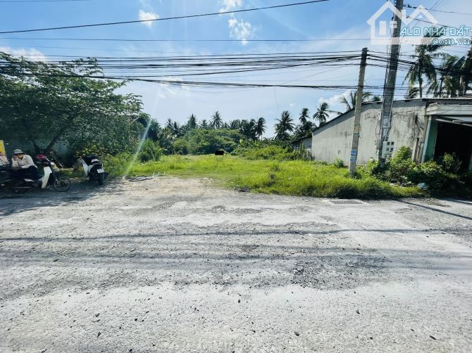 4240295 ảnh đại diện 1