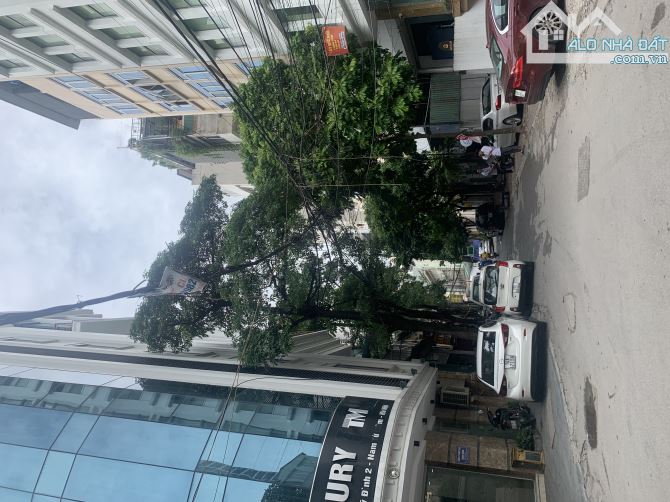 4239400 ảnh đại diện 1