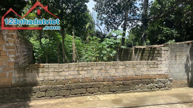 4239621 ảnh đại diện 1