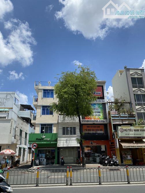 4241453 ảnh đại diện 1