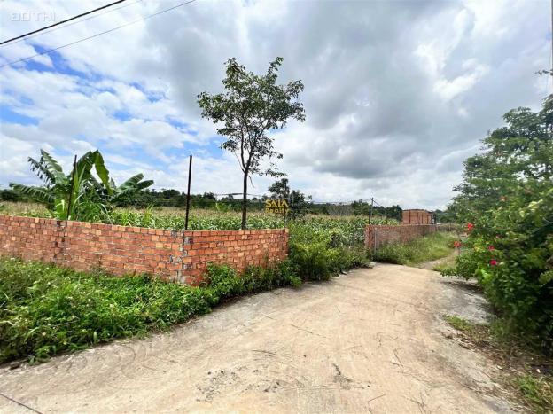 4240520 ảnh đại diện 1