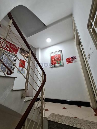 4242311 ảnh đại diện 1