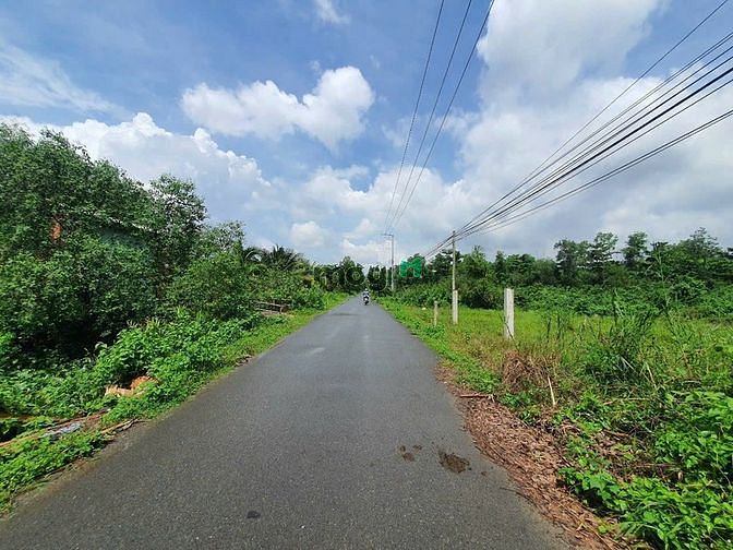 4239953 ảnh đại diện 2