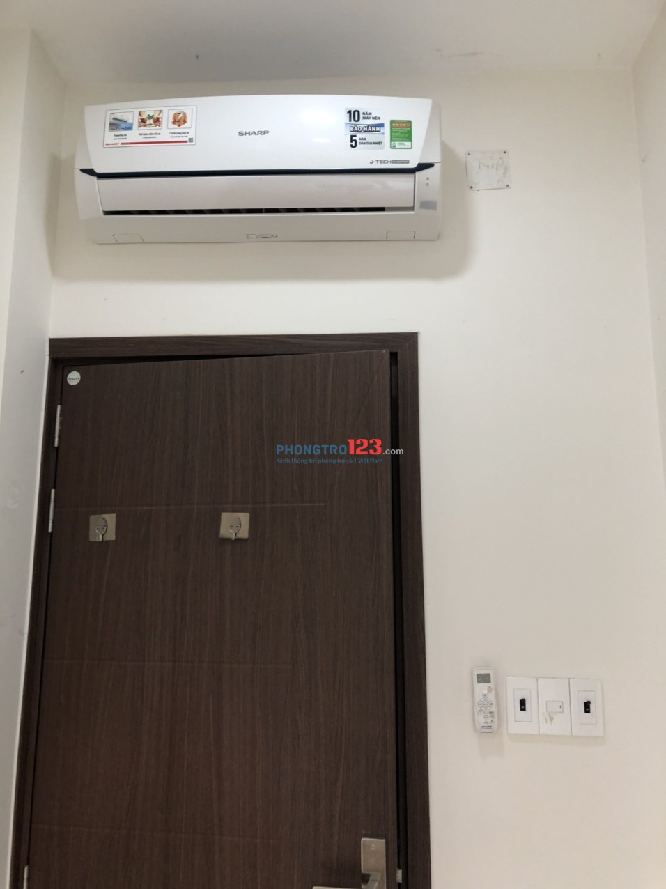 4239861 ảnh đại diện 1