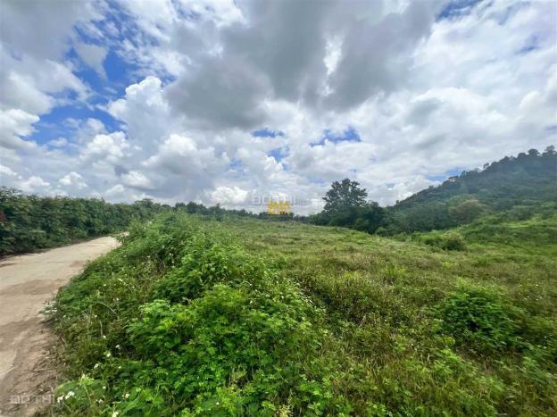 4239186 ảnh đại diện 2