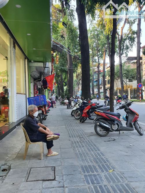 4240153 ảnh đại diện 1