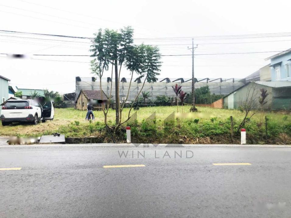 4240939 ảnh đại diện 1