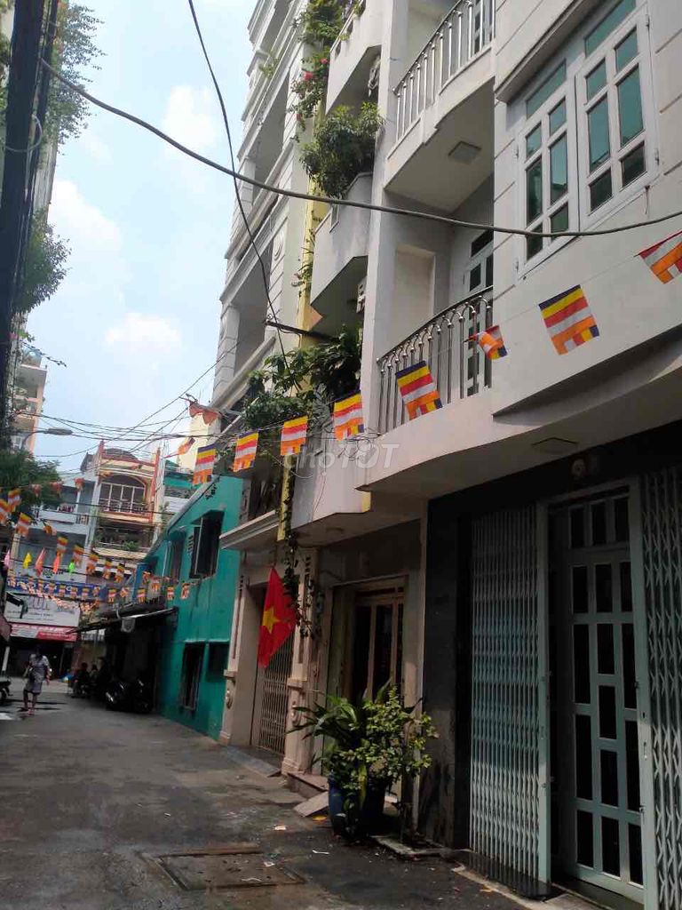 4240629 ảnh đại diện 1
