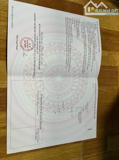 4239975 ảnh đại diện 1