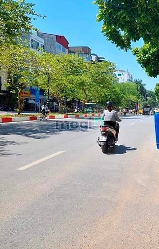 4242311 ảnh đại diện 1