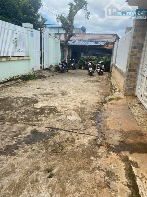 4240787 ảnh đại diện 1
