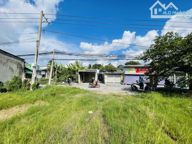 4240295 ảnh đại diện 1