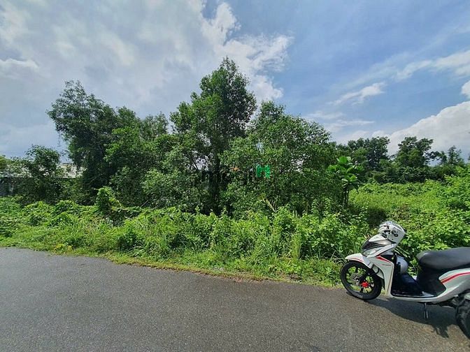 4239953 ảnh đại diện 1