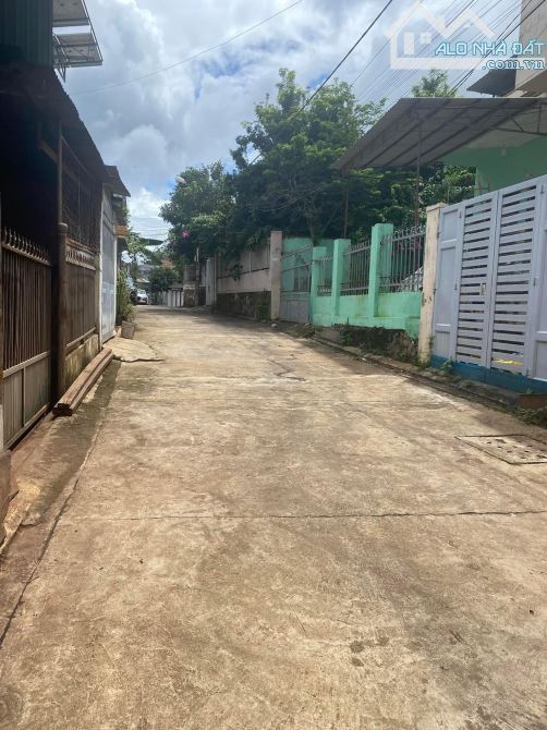4240786 ảnh đại diện 1