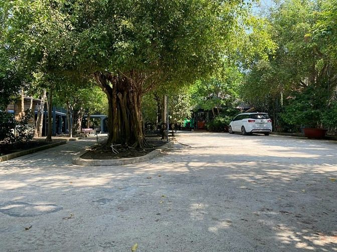 4239952 ảnh đại diện 1