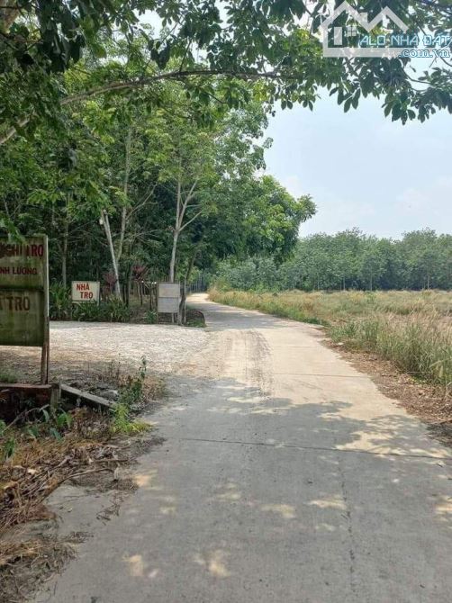 4239976 ảnh đại diện 1