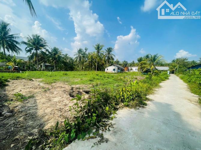 4240300 ảnh đại diện 2