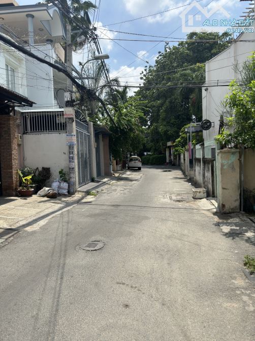 4239731 ảnh đại diện 1