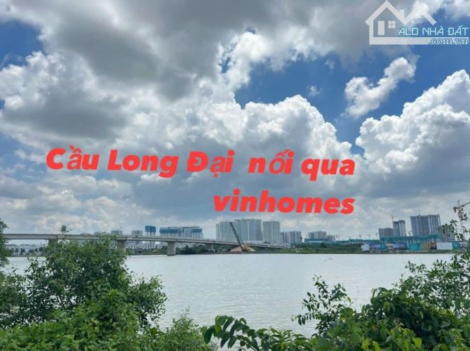 4239212 ảnh đại diện 1