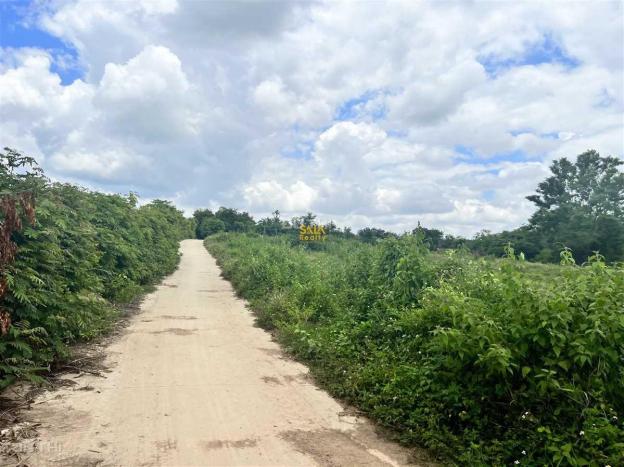 4239186 ảnh đại diện 1