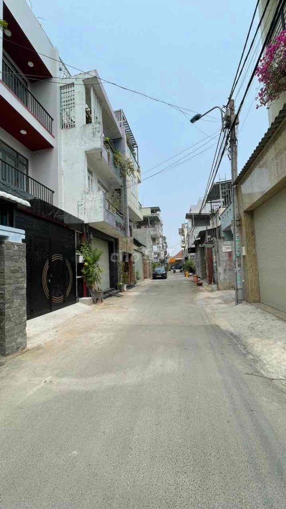 4240818 ảnh đại diện 1