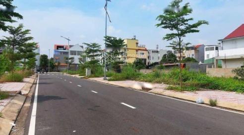 4239484 ảnh đại diện 1