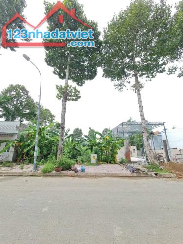 4239672 ảnh đại diện 1