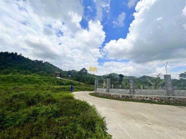 4239186 ảnh đại diện 1