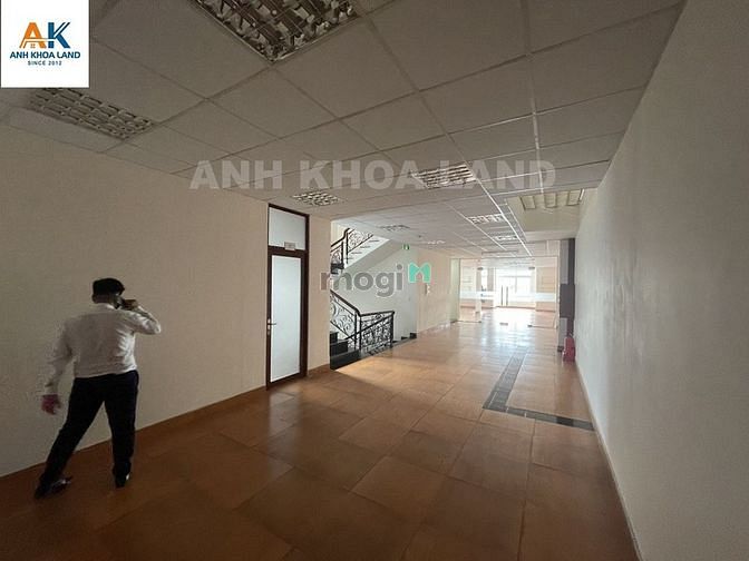 4241189 ảnh đại diện 2