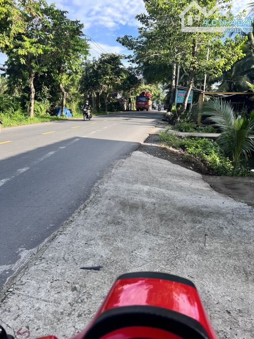 4240300 ảnh đại diện 1