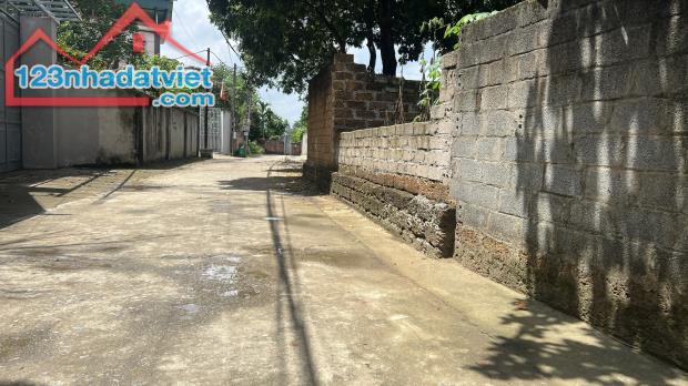 4239621 ảnh đại diện 2