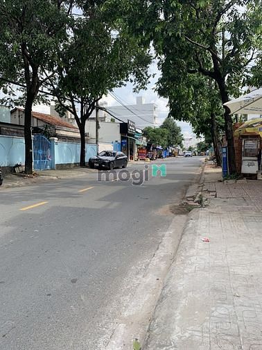 4239229 ảnh đại diện 1