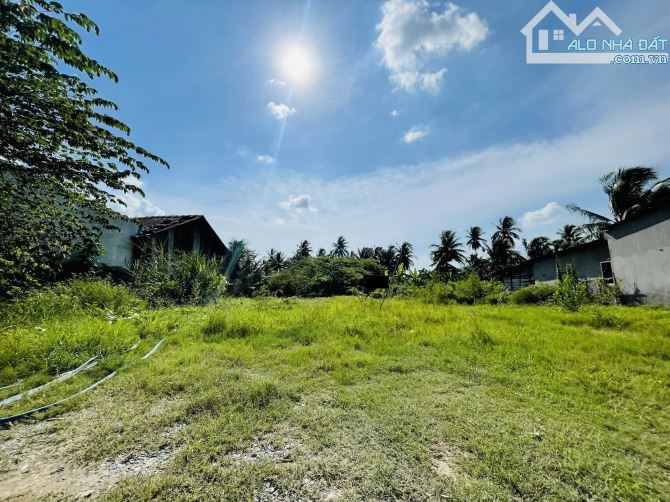 4240295 ảnh đại diện 2