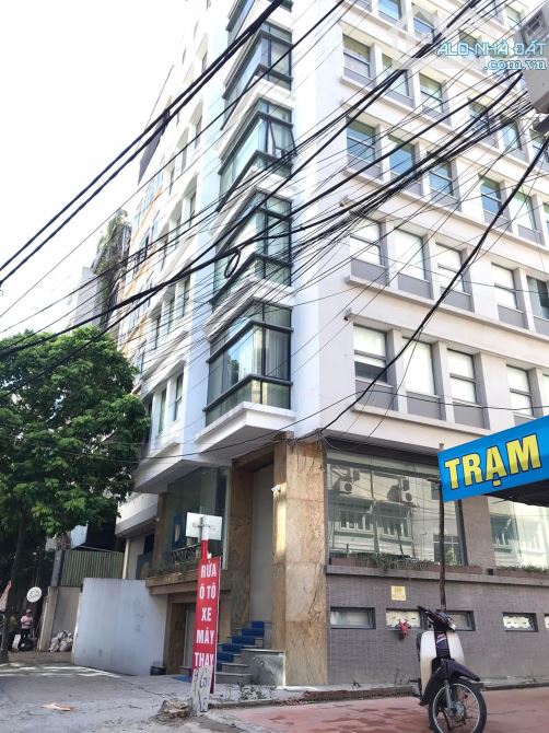 4239400 ảnh đại diện 2